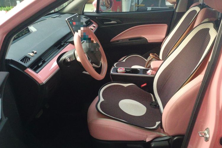 Used NETA V 2022 Chao 400 Lite Pink Custom Edition Left Front Seat