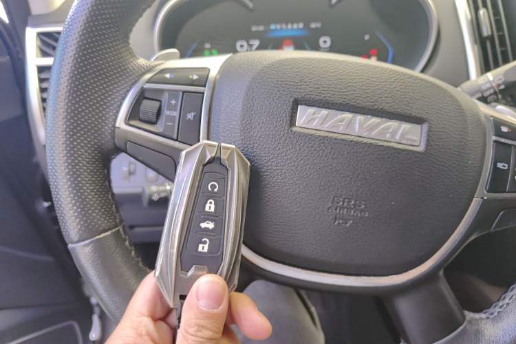 Used Haval H9 2020 2.0T Gasoline 4x4 Luxury 7-Seater
