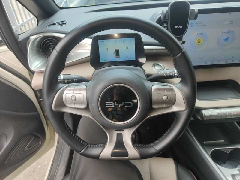 Used BYD Dolphin 2025 420km Fashion Edition — 10
