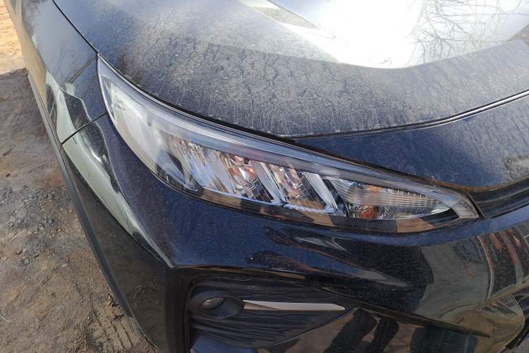 Used Toyota Wildlander 2023 2.0L CVT Two-Wheel Drive Leading Edition