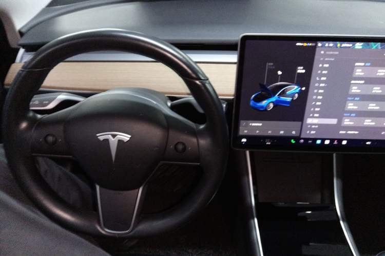 Used Tesla Model 3 (Import) 2019 Long-Range Rear-Wheel-Drive Version
