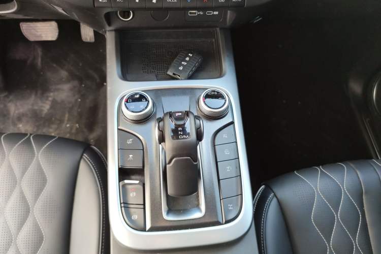 Used Tank 300 2024 2.0T Challenger