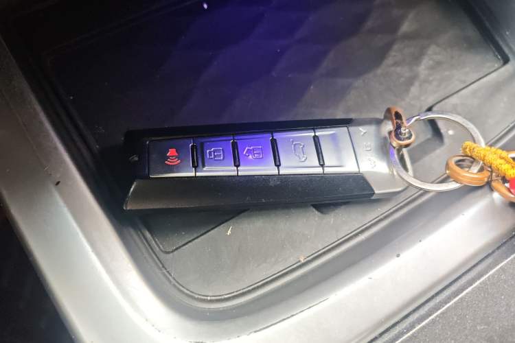 Used Tank 300 2021 Off-Road Edition 2.0T Conqueror Interior 1