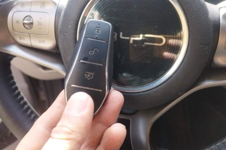 Used BYD Dolphin 2021 405 km Free Version