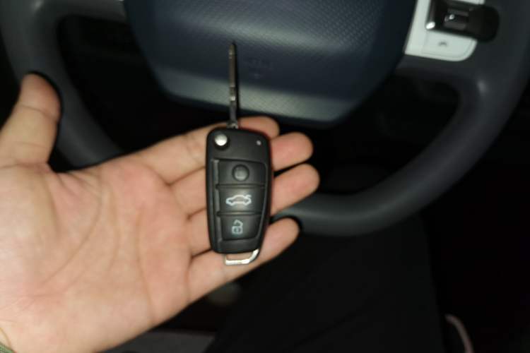 Used Chery QQ Ice Cream 2022 120km Conical Shape Lithium Iron Phosphate Vehicle Key