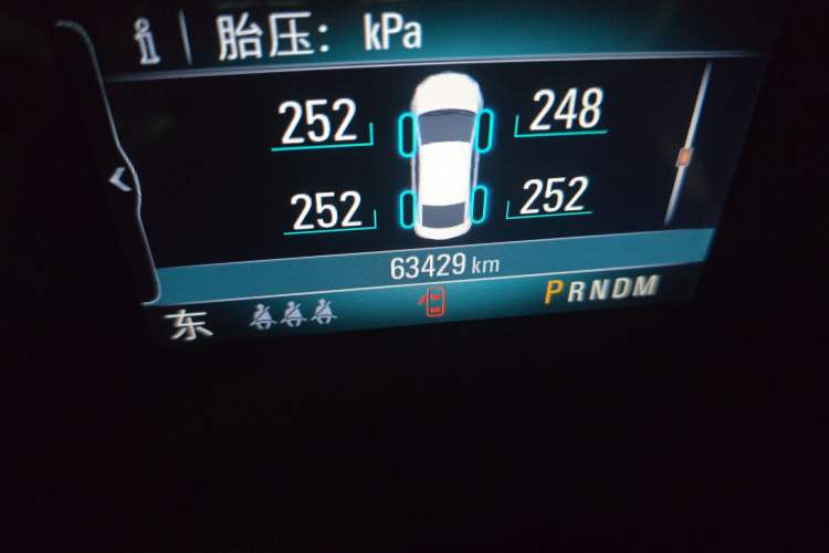 Used Buick Regal 2019 20T Elite Version China V Standard