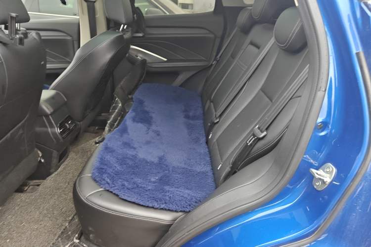 Used Wey VV6 2021 2.0T Two-Wheel Drive Smart Protection+
