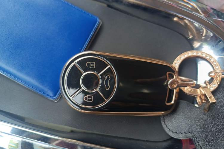 Used ORA Ballet Cat 2023 401 km Luxury Version Vehicle Key