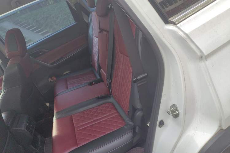 Used FORTHING T5L 2020 1.8T Manual Luxury 7-Seater China VI Standard