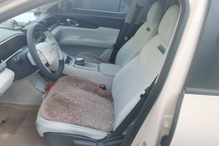 Used Geely Galaxy Geome 2025 310km Youth Edition Left Front Seat