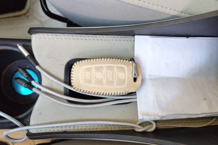 Used ORA White Cat 2020 305 km Luxury Version