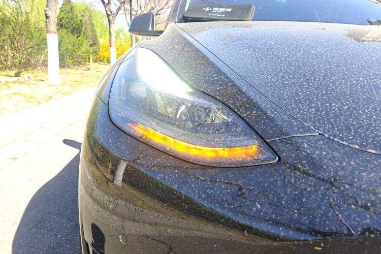 Used Tesla Model Y 2022 Rear-Wheel-Drive Version Right Front Headlight