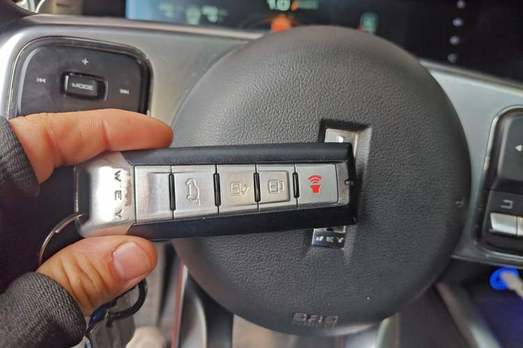 Used Tank 300 2021 Off-Road Edition 2.0T Challenger
