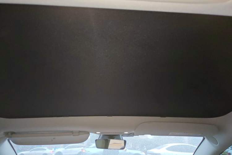 Used Tesla Model 3 2022 Performance High-Performance All-Wheel-Drive Version Headliner