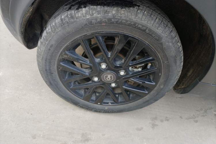 Used Chery Little Ant 2024 Facelifted 321km Beloved Edition Exterior 5