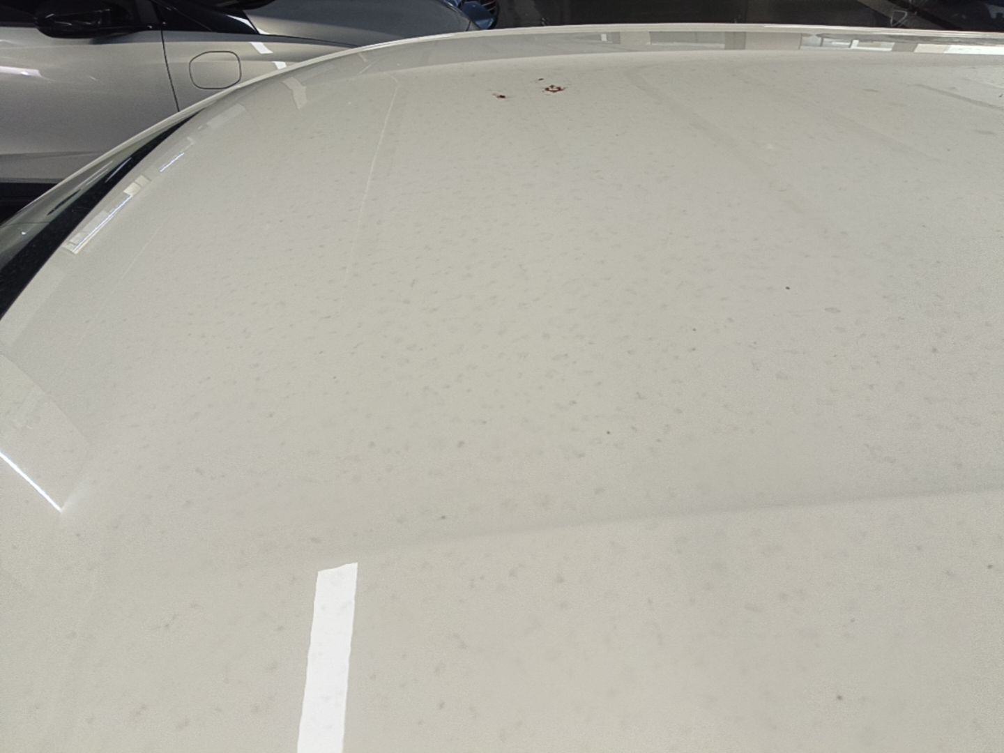 BYD Seagull 2025 Smart Drive Version 305 km Freedom Edition — снимка 7