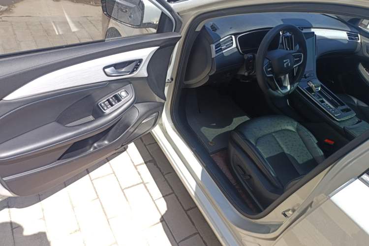 Used Rising ER6 2020 620 km Smart Edition
