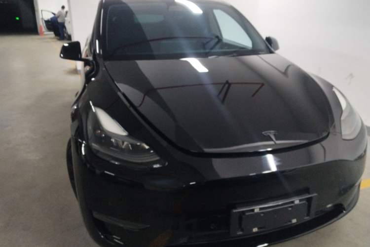 Used Tesla Model Y 2021 Standard Range Rear-Wheel Drive Version
