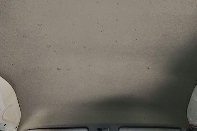 Used Foton Scenic G9 2016 2.4L Business Edition Long Wheelbase 4G69