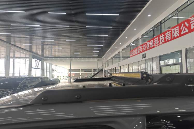 Used Tank 300 2023 2.0T Iron Rider 02
