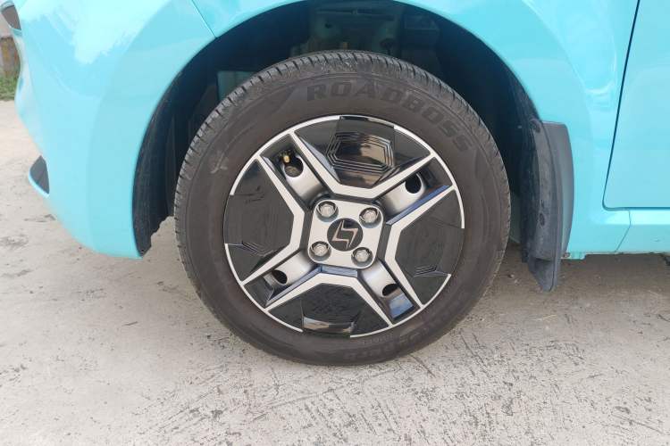 Used SOL E10X 2022 Flower Fairy Design Four-Leaf Clover