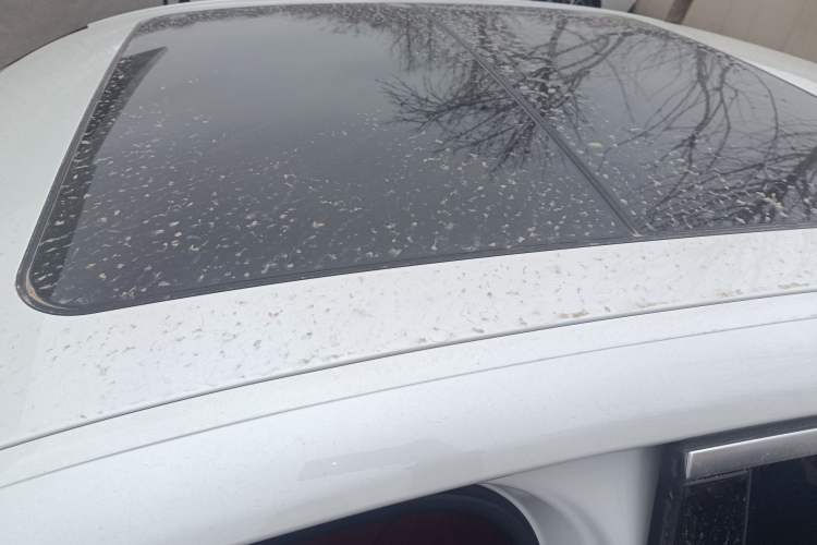 Used BMW i3 2025 eDrive 35 L