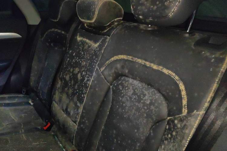 Used Audi Q3 2015 35 TFSI Comfort Model Left Rear Seat