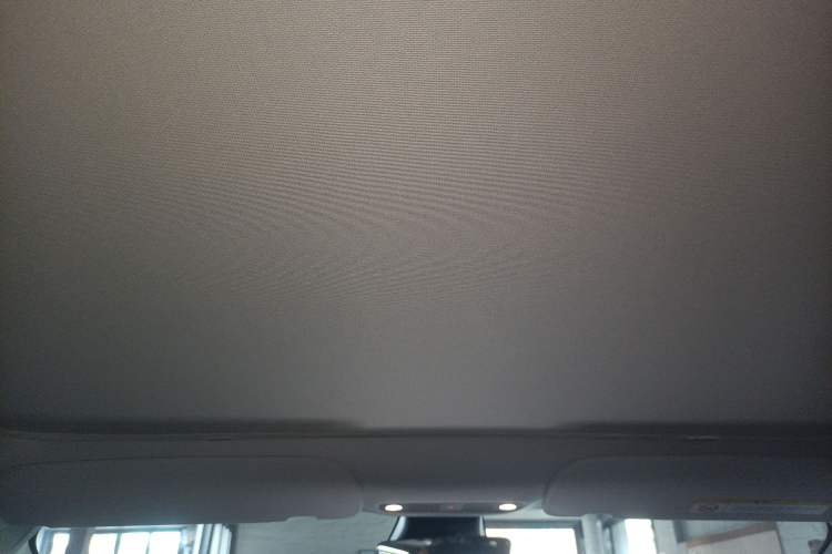 Used Tesla Model 3 2022 Rear-Wheel-Drive Version Headliner