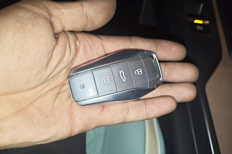 Used SOL E10X 2022 Flower Fairy Design Four-Leaf Clover