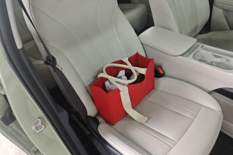 Used Geely Galaxy Geome 2025 UP 410km Exploration+ Edition Right Front Seat