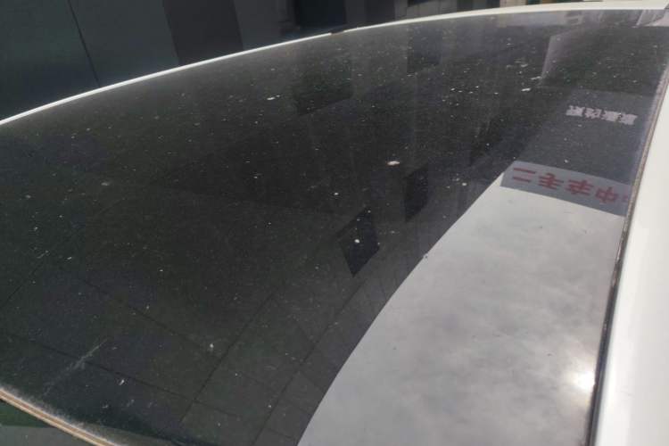 Used Venucia VX6 2023 520 Max Roof