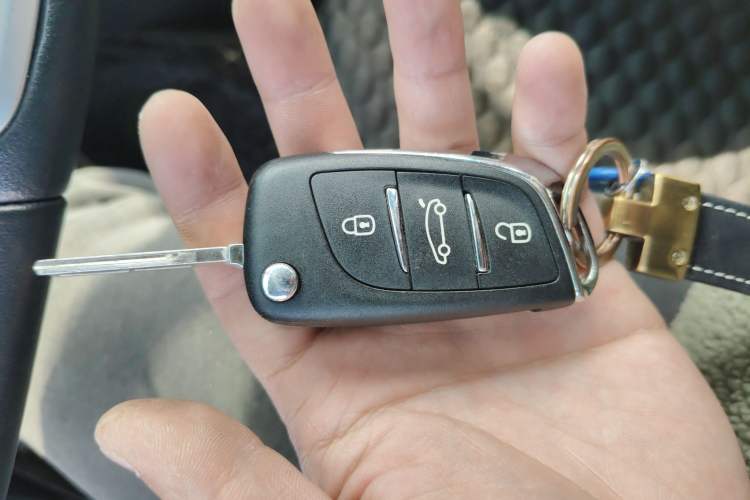 Used DS 4S 2016 1.2T Automatic Advanced THP130
