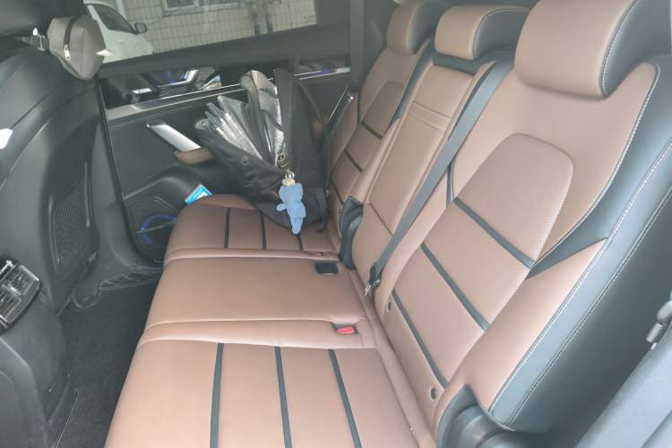 Used BYD Tang New Energy 2021 DM 2.0T Four-Wheel Drive Performance Edition Prestige Model Left Rear Seat