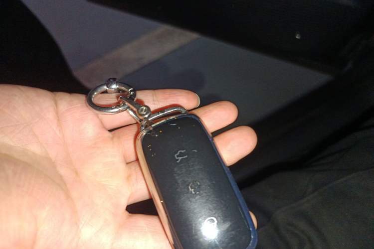 Used Geely Galaxy E5 2024 440km Launch Edition Interior 1