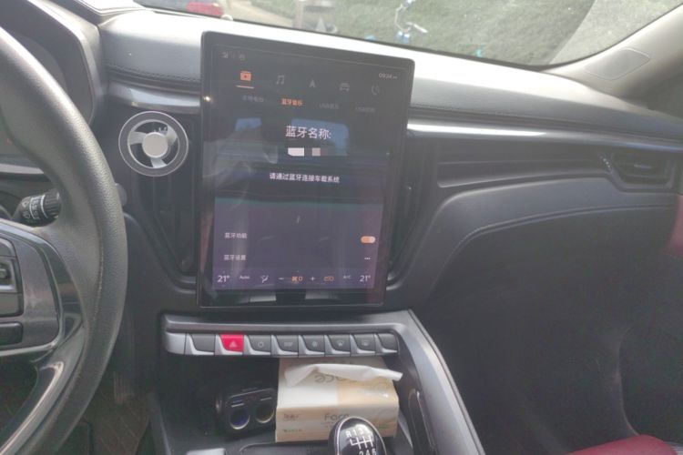 Used FORTHING T5L 2020 1.8T Manual Luxury 7-Seater China VI Standard