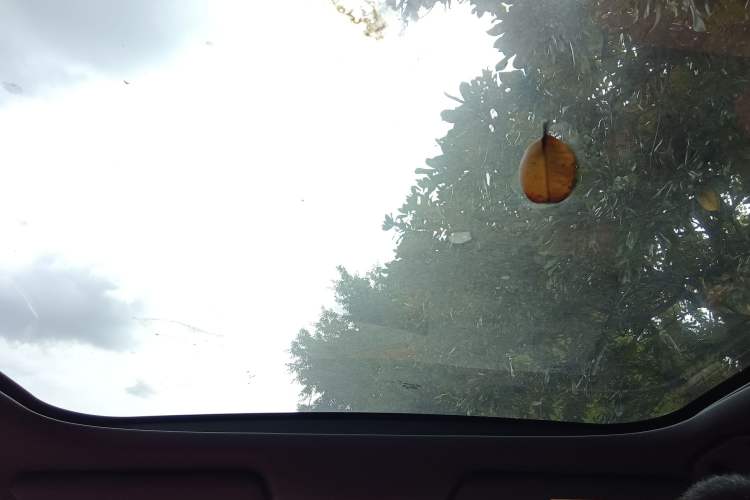 Used Deepal S05 2024 200 Ultra Range-Extended Long-Range Version
