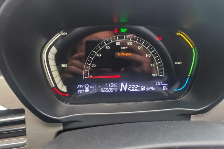 Used Dayun Yuehu 2022 300 Standard Edition