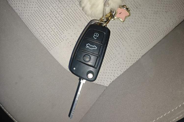 Used Chery QQ Ice Cream 2024 170km Sundae Vehicle Key