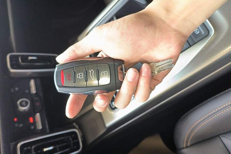 Used Haval DARGO 2022 1.5T DCT Two-Wheel Drive Labrador Edition