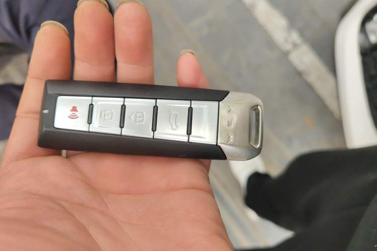 Used Wey VV6 2018 2.0T Two-Wheel-Drive Ultra-Luxury Version China V Standard
