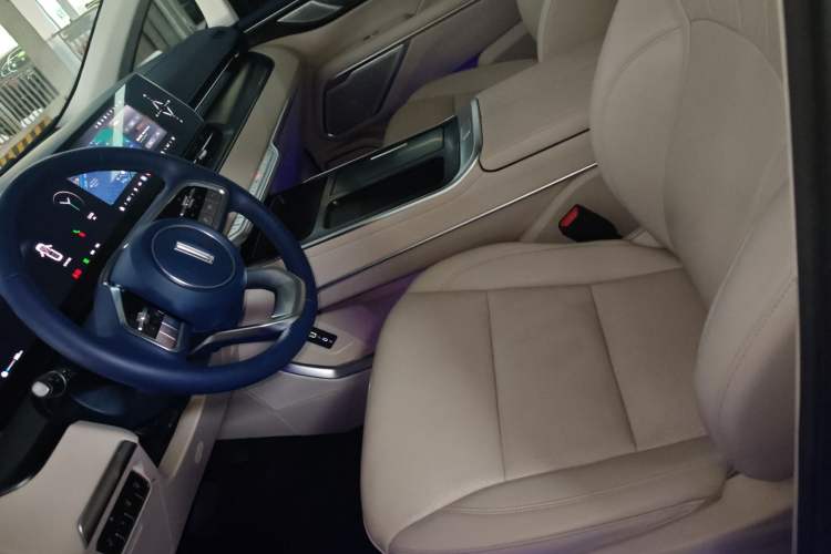 Used Wey Gaoshan 2023 Four-Wheel Drive Flagship Edition