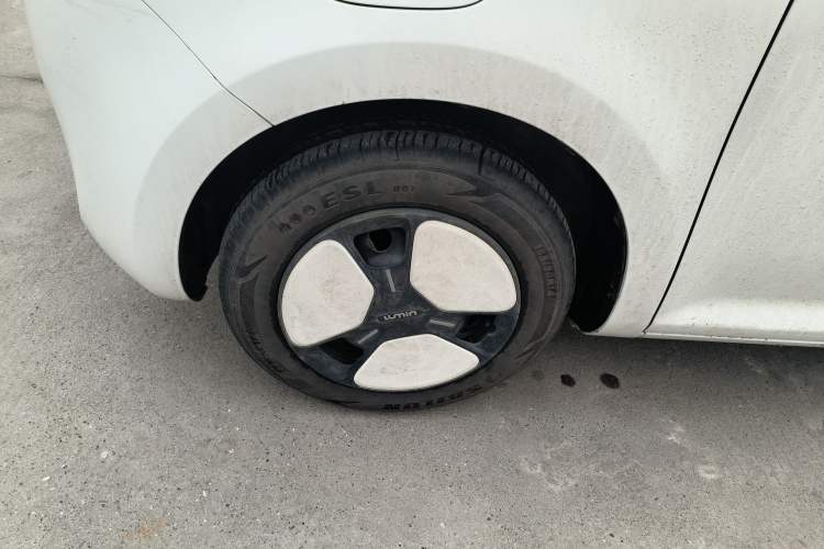 Used Qiyuan Lumin 2023 205km Xiangqin Version
