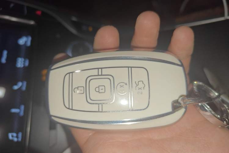 Used Lincoln Nautilus 2019 2.0T Four-Wheel Drive Zunya Edition China VI Standard