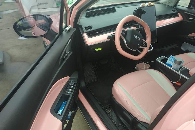 Used NETA V 2021 Long-Range Industry Custom Edition
