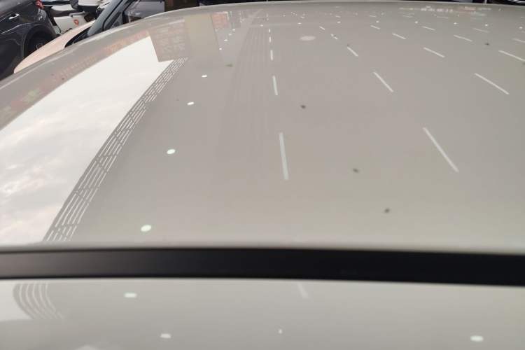 Used ORA Black Cat 2021 301 km Basic Version