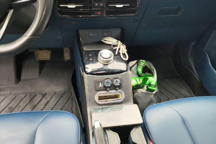 Used Geometry E Firefly 2022 320KM Cute Tiger 4-Seater