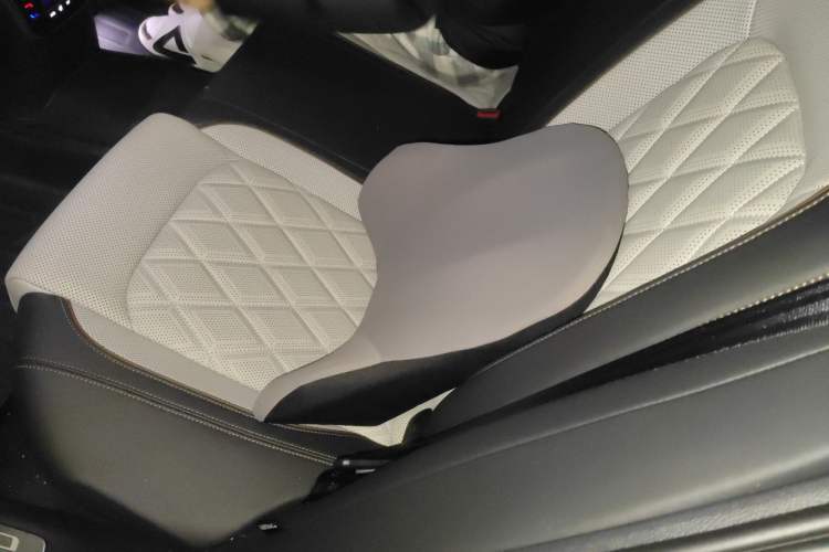 Used Volkswagen Magotan 2024 2 Million Units Zhongxiang Version 330TSI DSG Luxury Edition Left Rear Seat