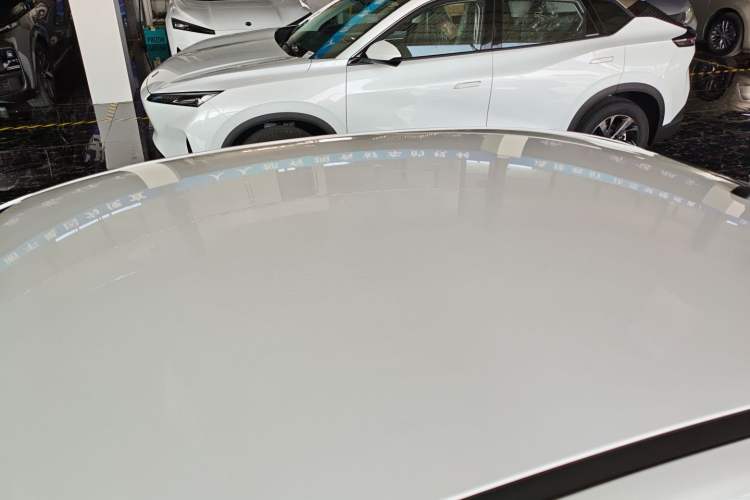 Used SINOGOLD Junxing 2023 Standard Model Roof