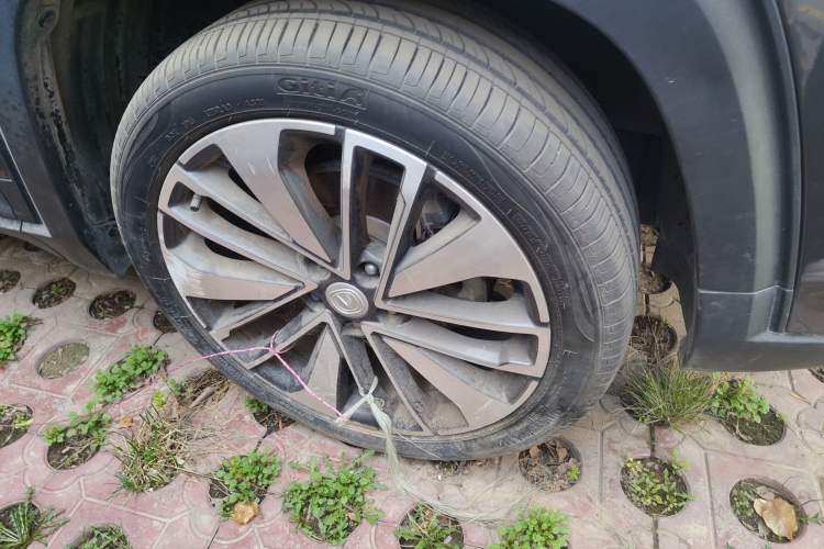 Used CHANGAN CS35PLUS 2022 Blue Whale NE 1.4T DCT Prestige Model