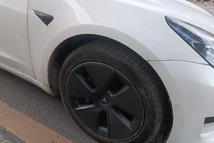 Used Tesla Model 3 2021 Standard Range Rear-Wheel Drive Upgraded Version 3D6